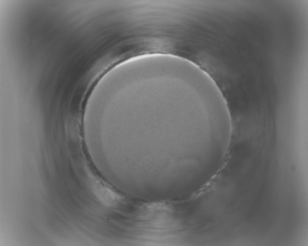 X0000054350146200508190137.png