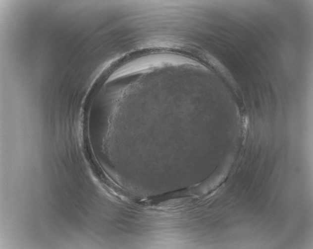 X0000054350580200508190130.png