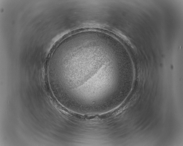 X0000054651264200508091632.png