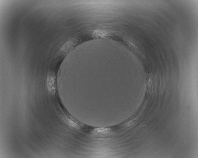 X0000054350526200508190131.png