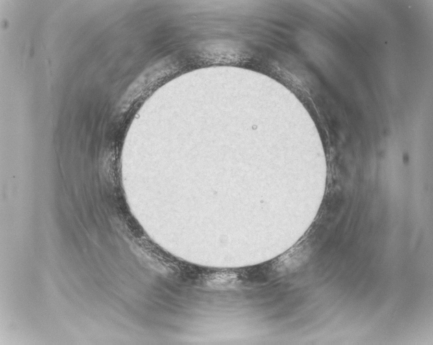 X0000054230162200508171521.png