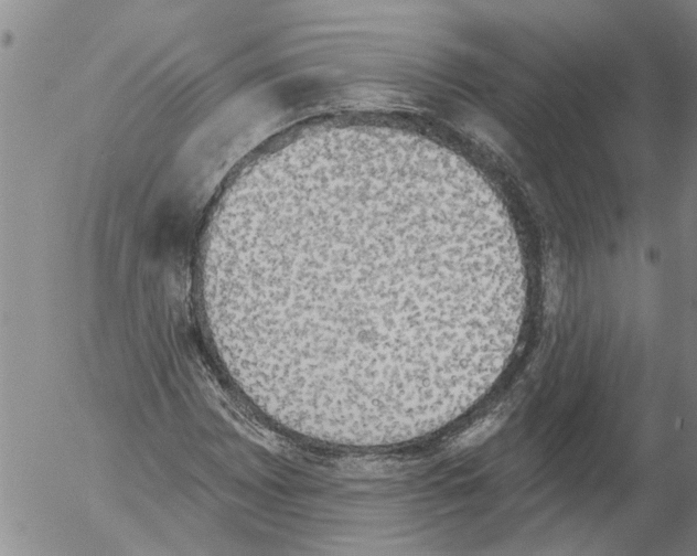 X0000054581065200508300055.png