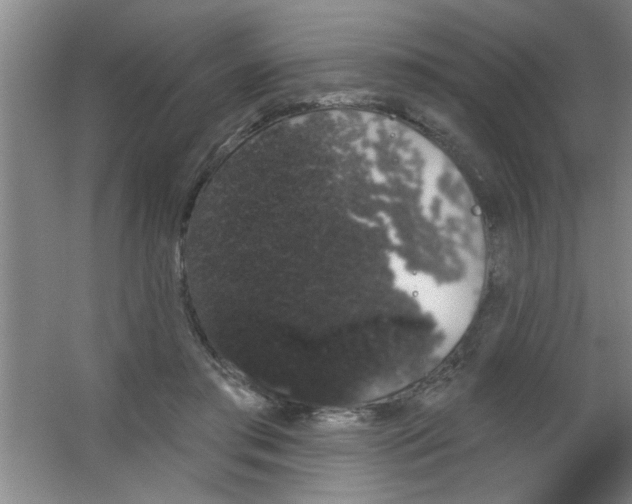 X0000053460405200508112202.png