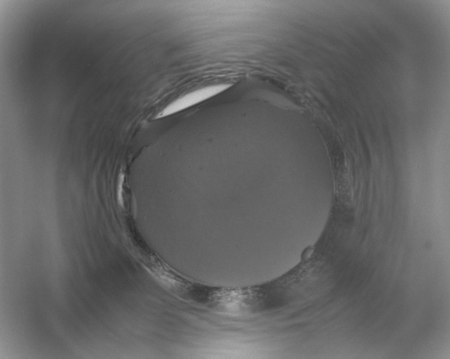X0000054350131200508190138.png