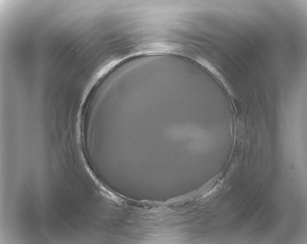 X0000054351477200508190115.png