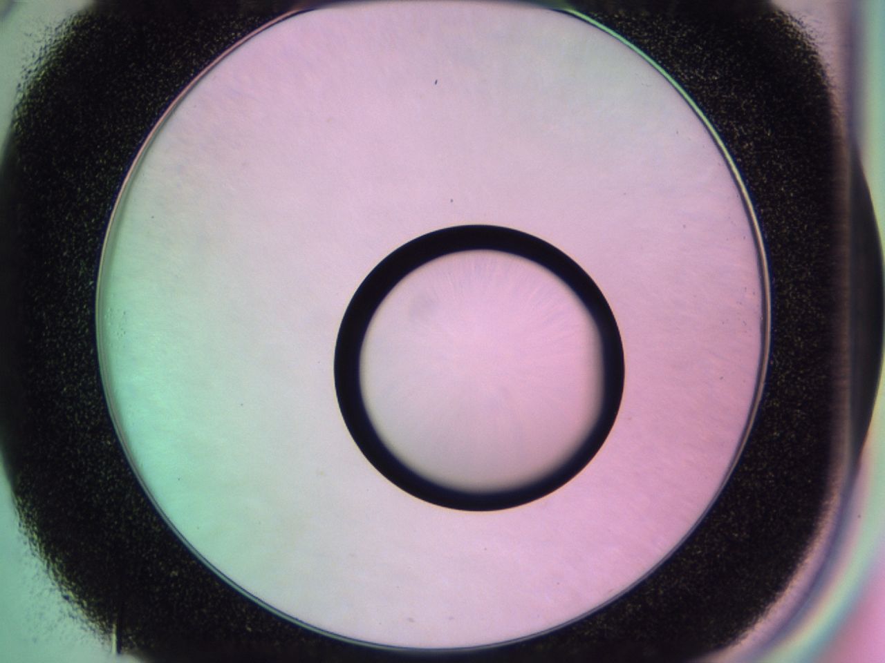 01gh_C8_ImagerDefaults_0.jpg