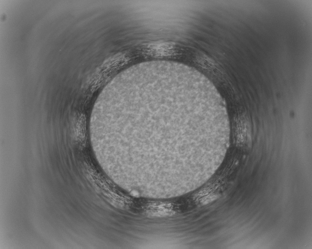 X0000054580760200508300100.png