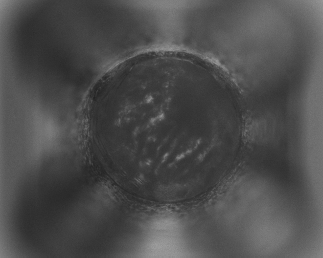 X0000047471255200503091550.png