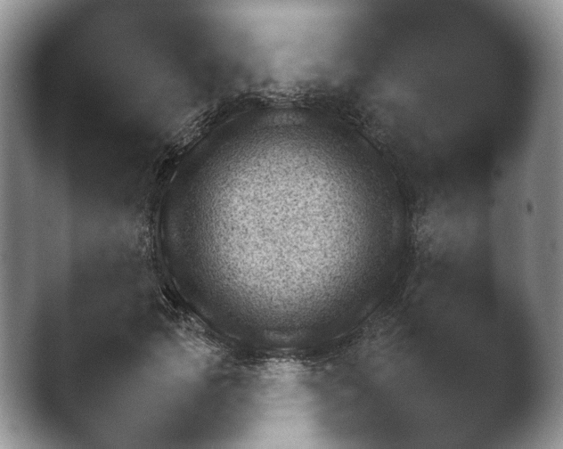 X0000042500749200411221312.png