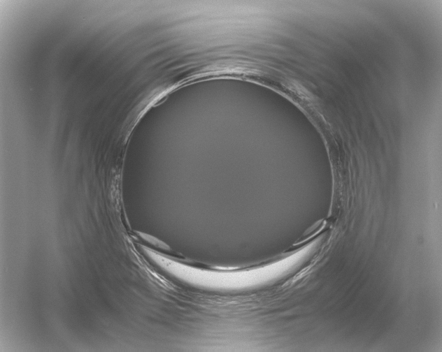 X0000054351369200508190117.png