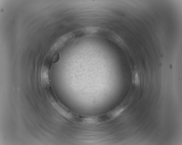 X0000054650238200508091649.png