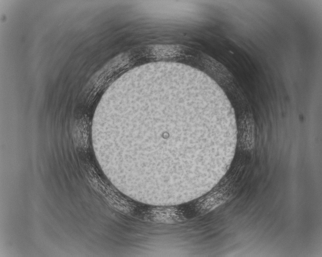 X0000054580762200508300100.png