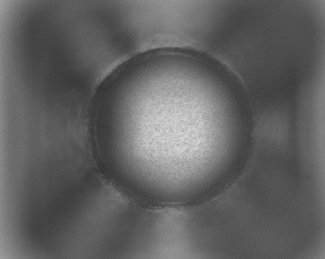 X0000054110874200508022056.png