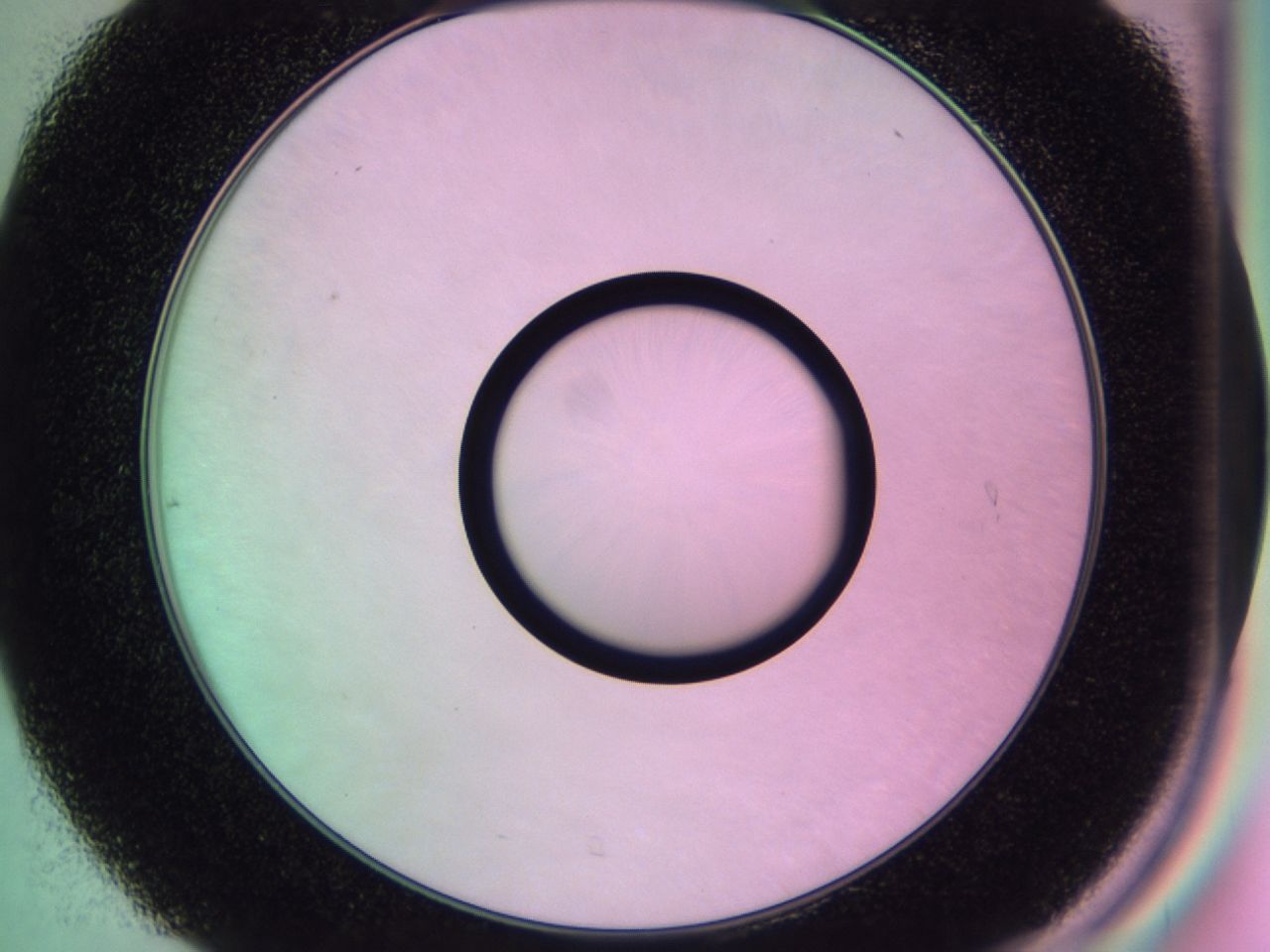 01gh_C7_ImagerDefaults_0.jpg