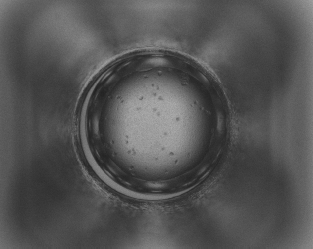X0000040040895200410070842.png