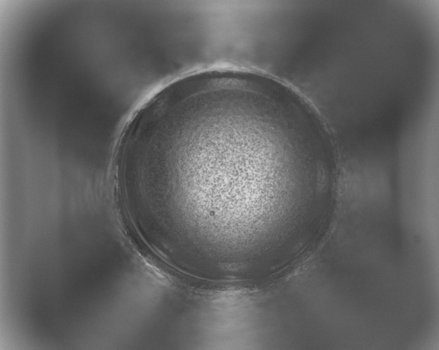 X0000052151367200507051940.png