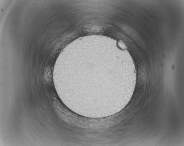 X0000054580037200508300112.png