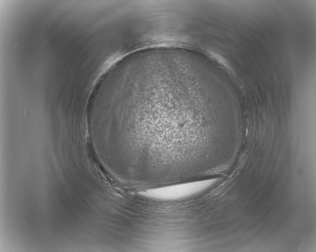 X0000054301267200508042301.png