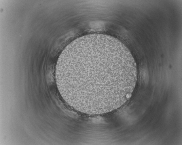X0000054581250200508300051.png