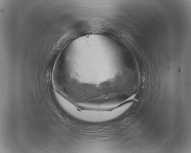 X0000054650503200508091645.png
