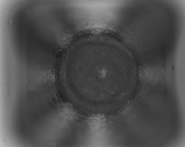 X0000046890771200502151156.png