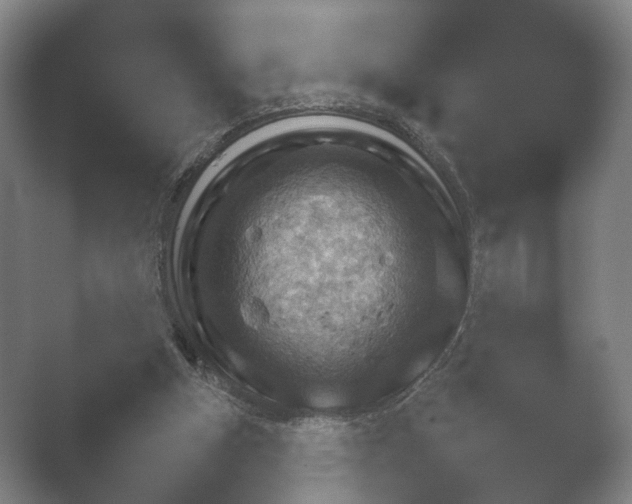 X0000052280154200507132038.png