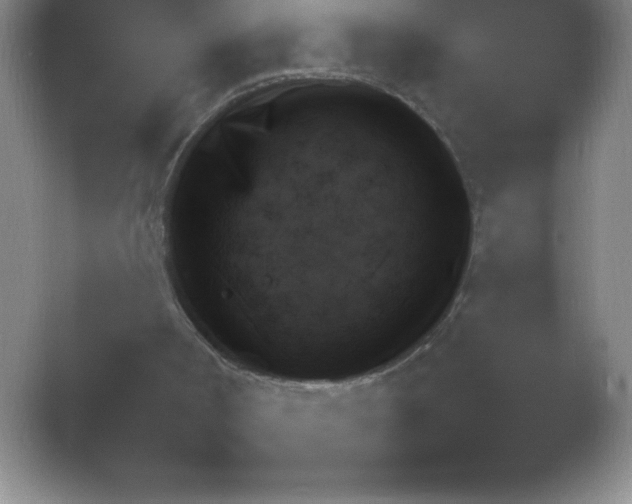 X0000054730002200508171904.png