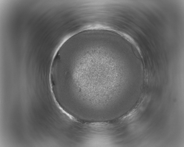 X0000054300863200508042308.png