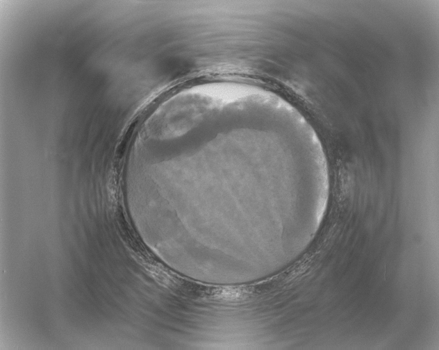 X0000054351266200508190119.png
