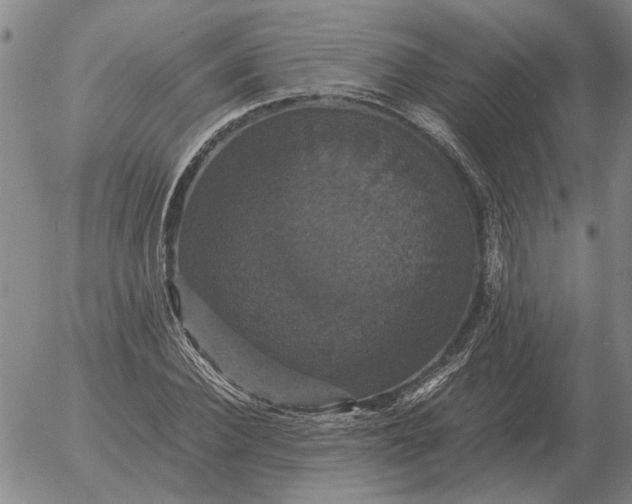 X0000054170924200508101756.png