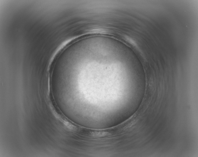 X0000054331323200508111909.png