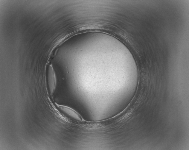 X0000055211129200508301315.png
