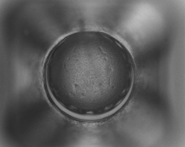X0000045451389200502011645.png
