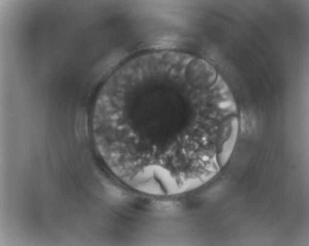 X0000053460205200508112206.png