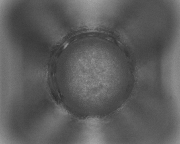 X0000052150066200507052002.png