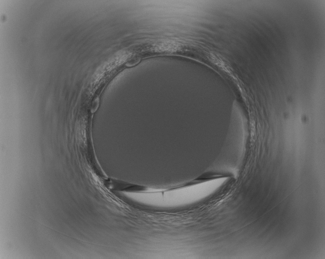 X0000054170681200508101800.png