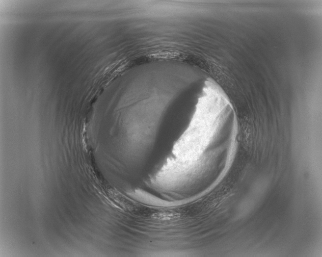 X0000054350745200508190128.png