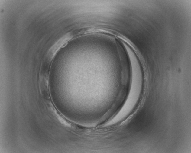 X0000054650809200508091640.png