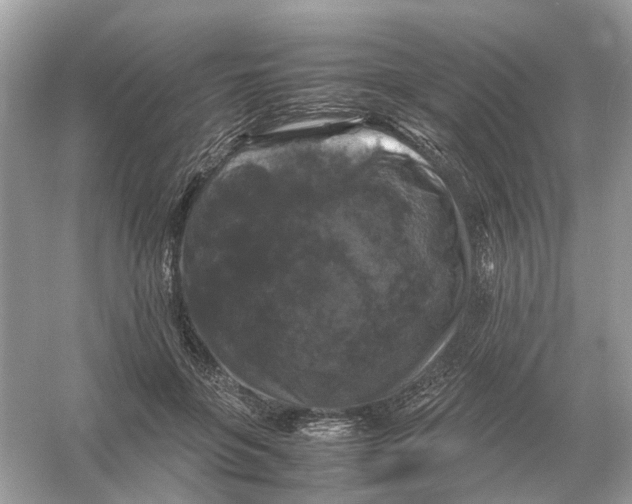 X0000054350551200508190131.png