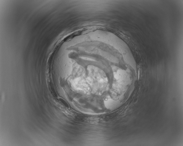 X0000055250339200509071621.png