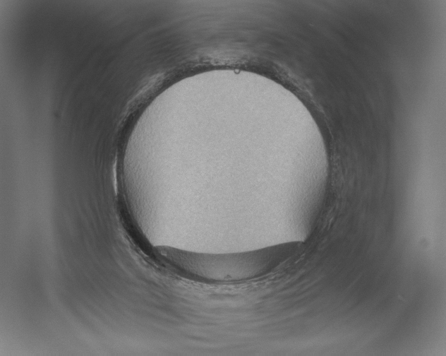 X0000055250019200509071627.png