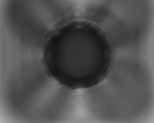 X0000054730184200508171901.png