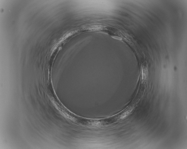 X0000054170301200508101806.png