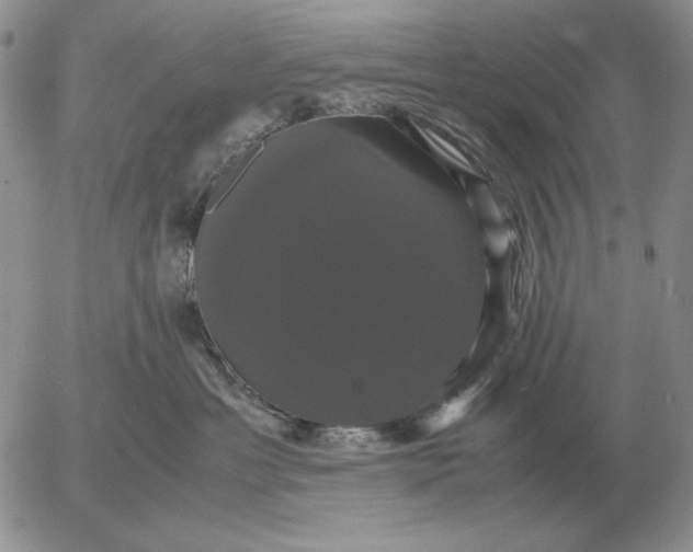X0000054170429200508101804.png