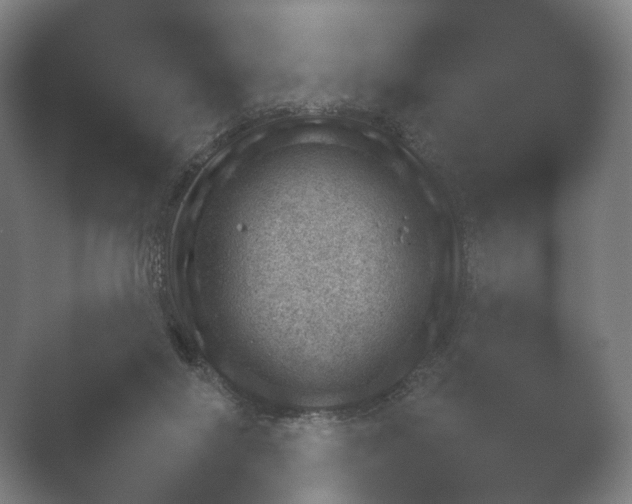 X0000052280071200507132039.png