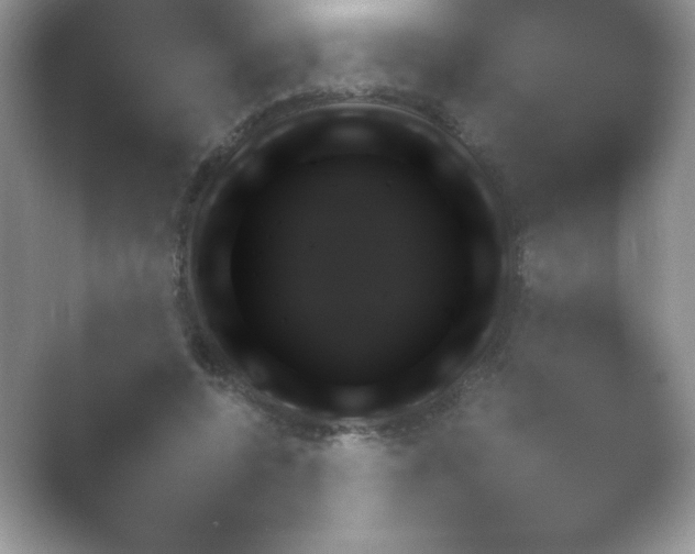 X0000054730544200508171854.png