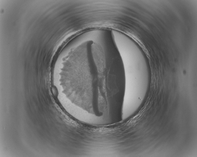X0000054170992200508101755.png