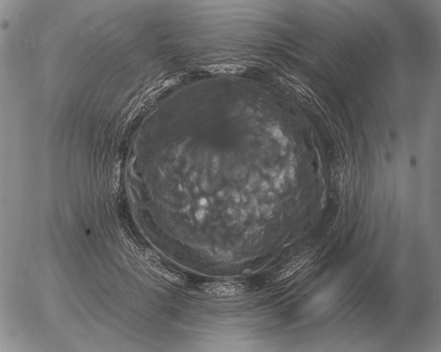 X0000054170652200508101801.png