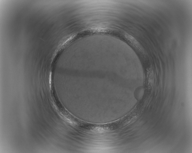 X0000054350494200508190132.png