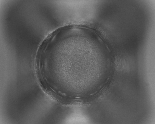 X0000052280726200507132028.png
